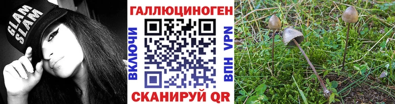 Псилоцибиновые грибы мицелий  Чулым 