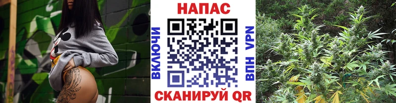 кракен ссылки  Чулым  Канабис гибрид 